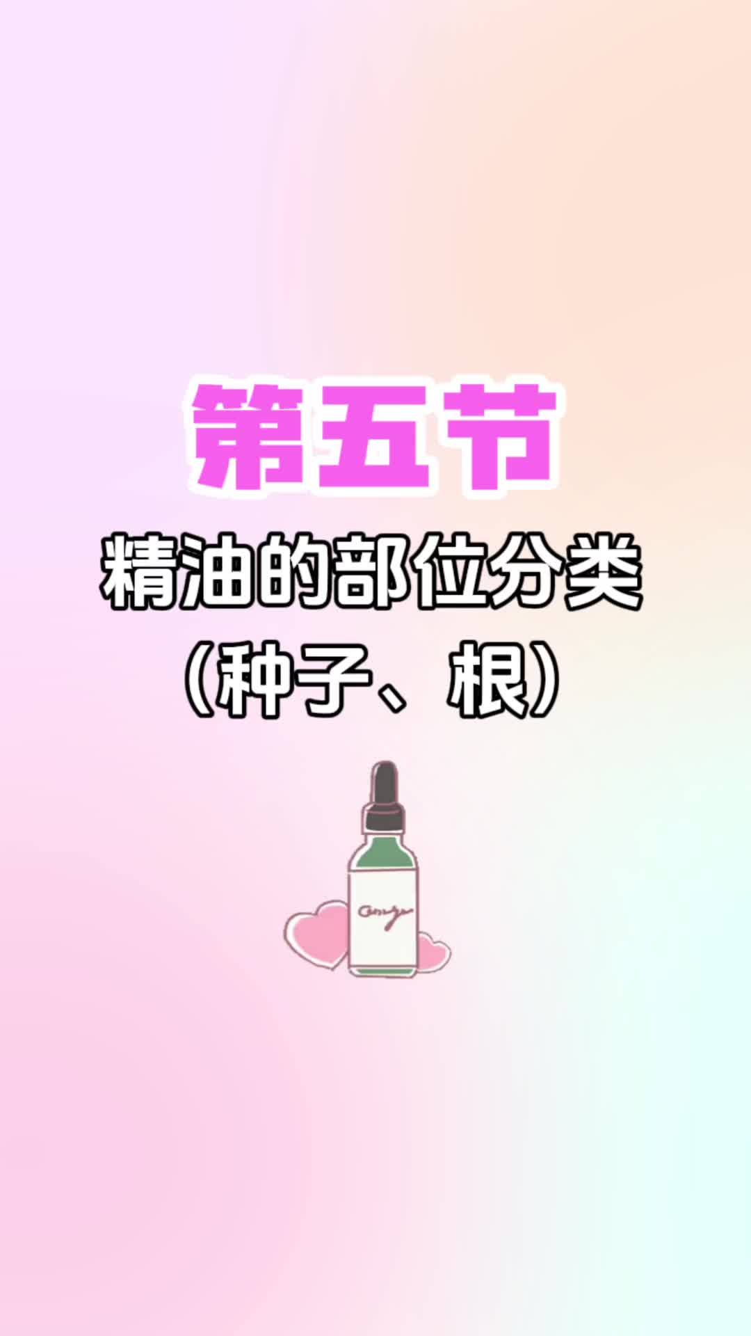 第五节《精油的部位分类（种子、根）》