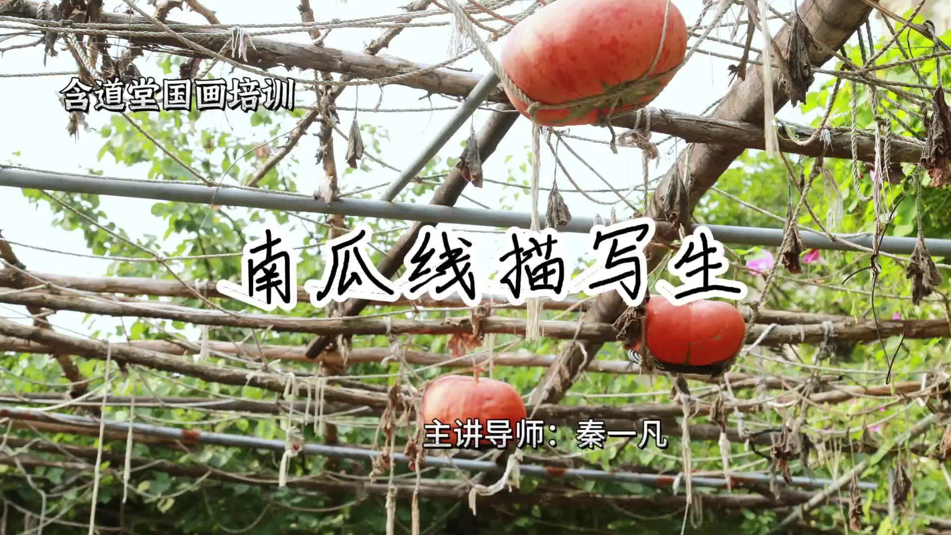 南瓜线描写生_pro