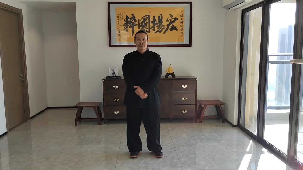 20、如封似闭攻防用法
