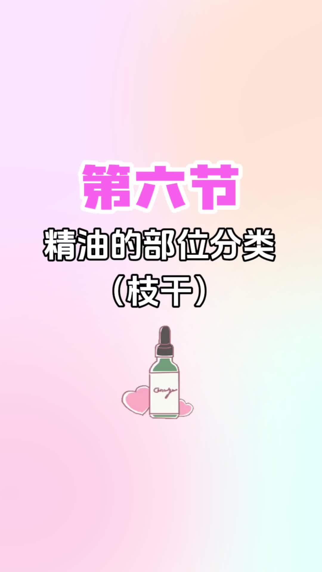 第六节《精油的部位分类（枝干）》