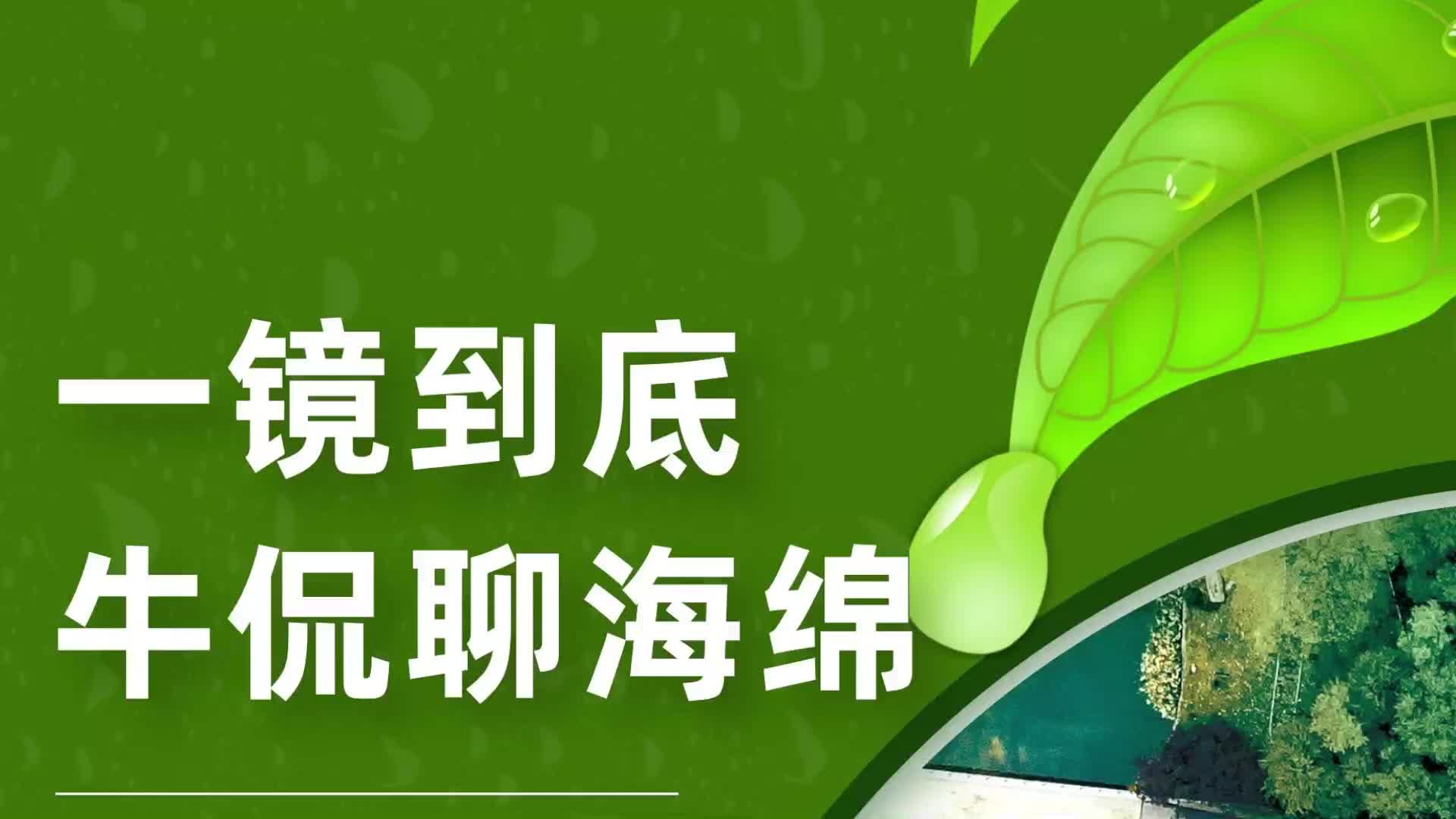 砥砺前行：一镜到底牛侃聊海绵