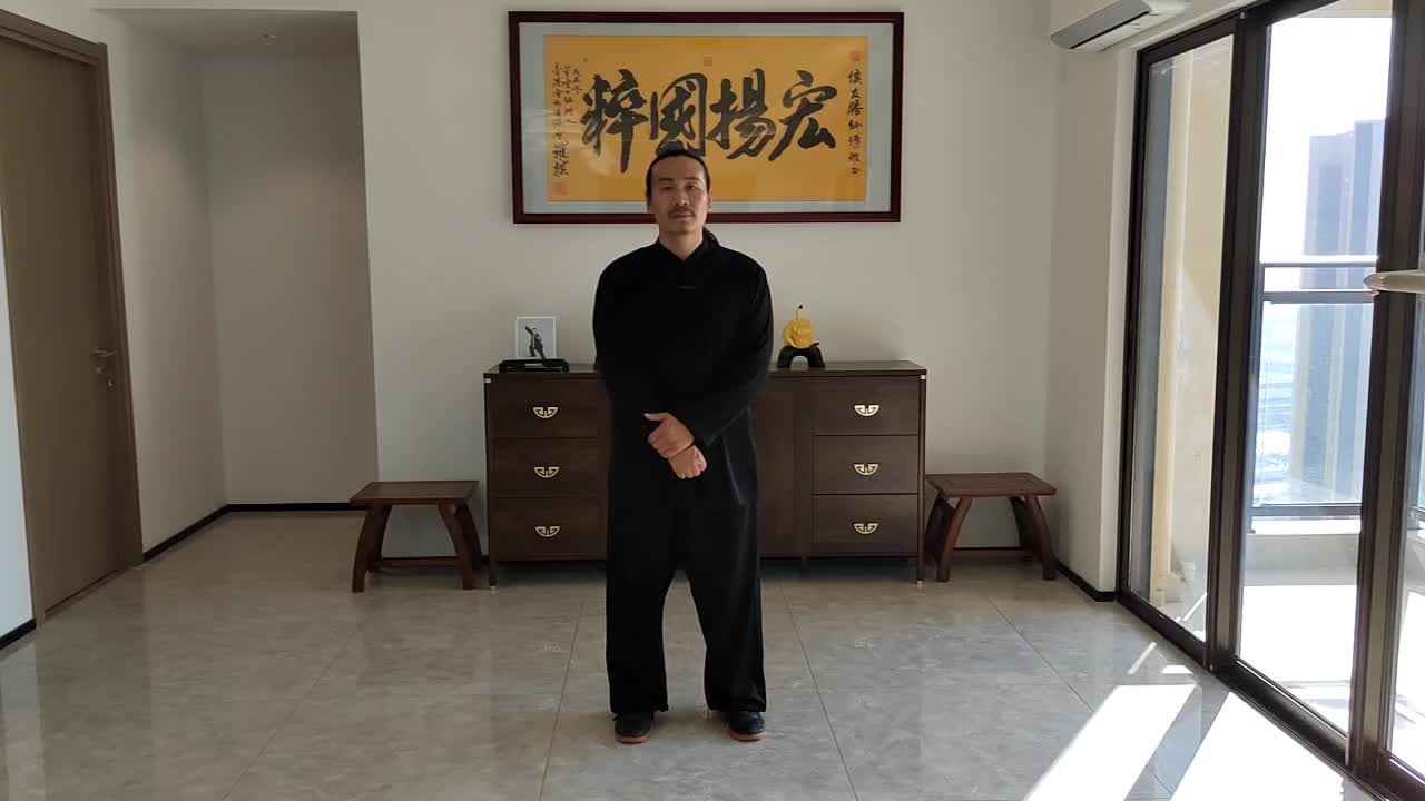 30、左右穿梭攻防用法