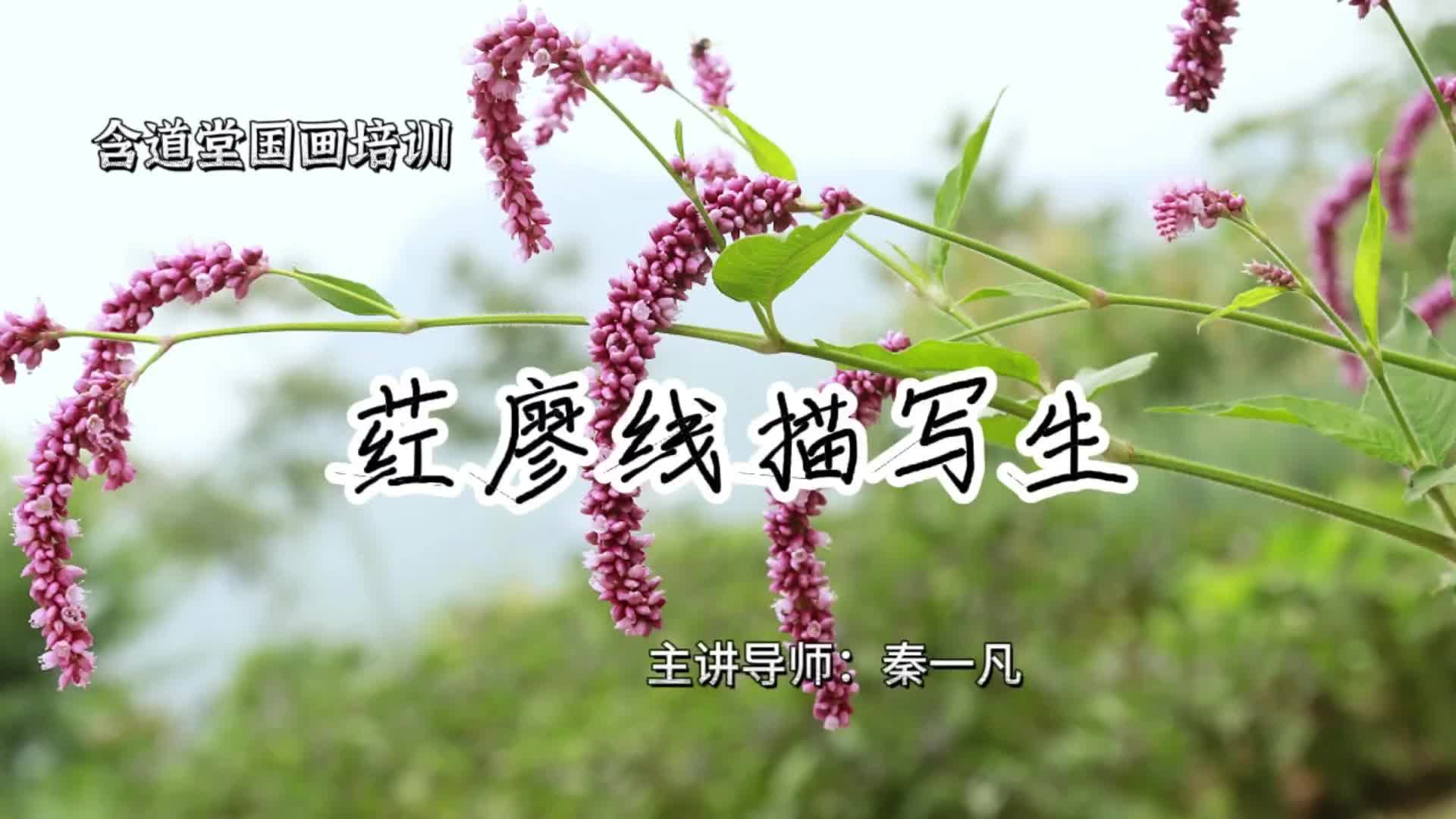 荭廖线描写生_pro