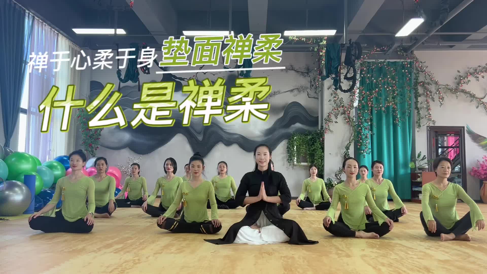 1-什么是禅柔