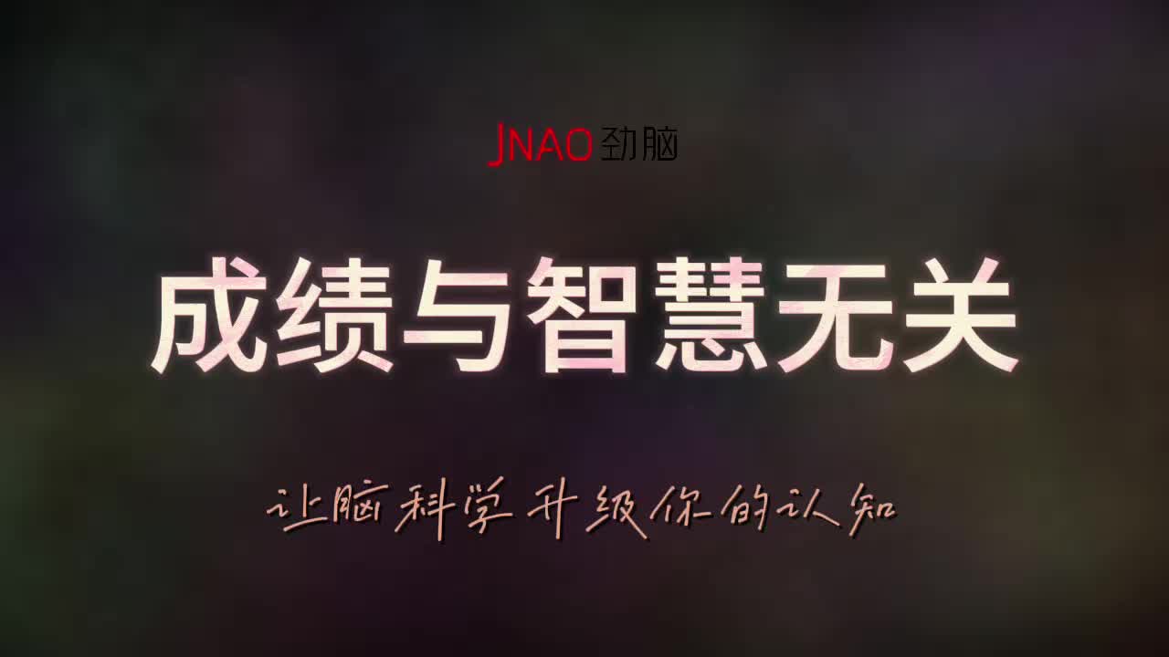 成绩与智慧无关